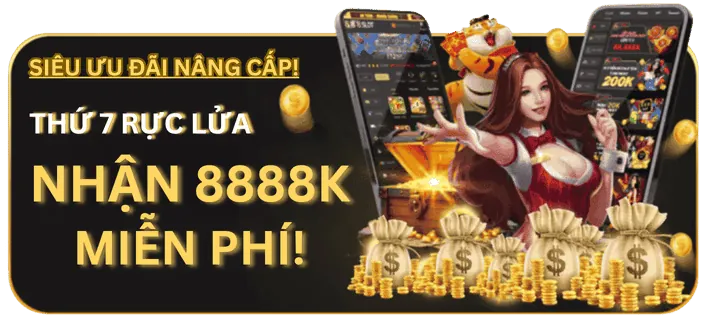 Chương trình VIP và hoàn trả
